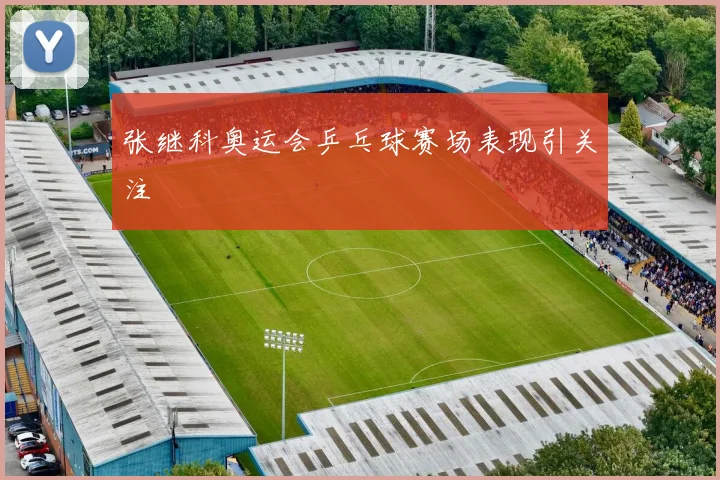 张继科奥运会乒乓球赛场表现引关注